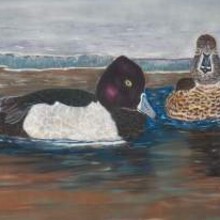 Waterfowl Paintings
